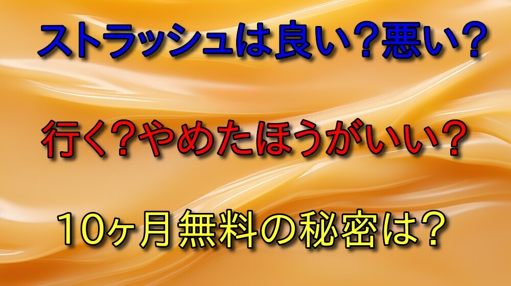 ストラッシュはやばい？やめたほうがいい？無料のからくりとは？